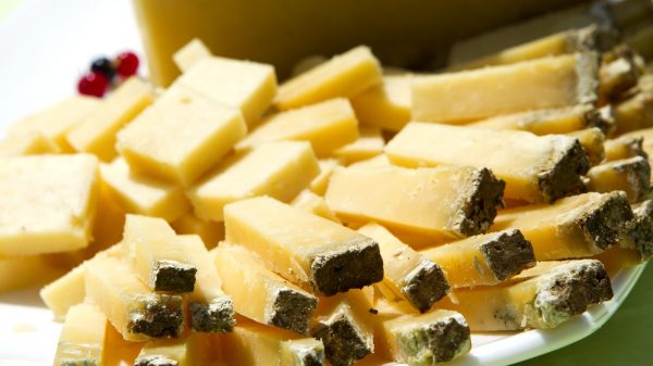 Tasting Salers cheese at Burons de Salers