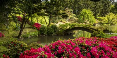 Découvrez les plus incroyables jardins japonais de Paris