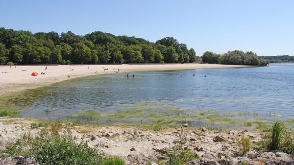 Une des six plages du lac du Der