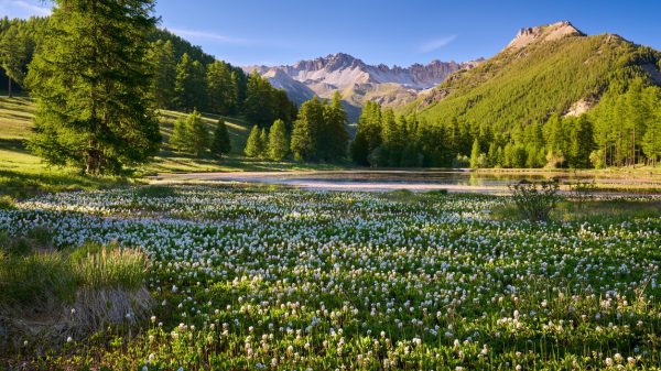 Regionaal Natuurpark Queyras