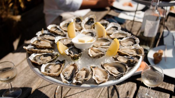 Les huîtres du bassin d'Arcachon