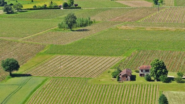 Vignoble de Cahors